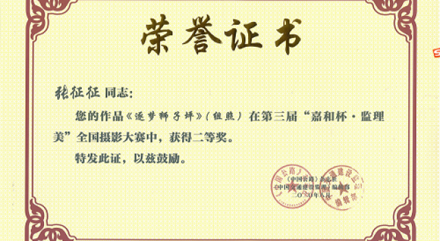喜訊！公司員工獲得“全國攝影大賽二等獎”