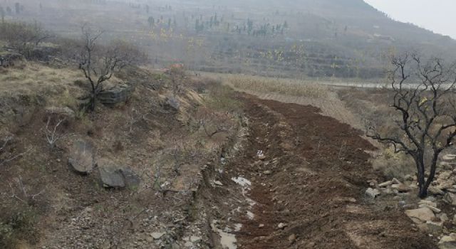 蘭陵縣農(nóng)村公路剩余工程項(xiàng)目全面開(kāi)工