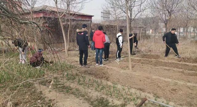 一米菜園，成就我們的田園夢