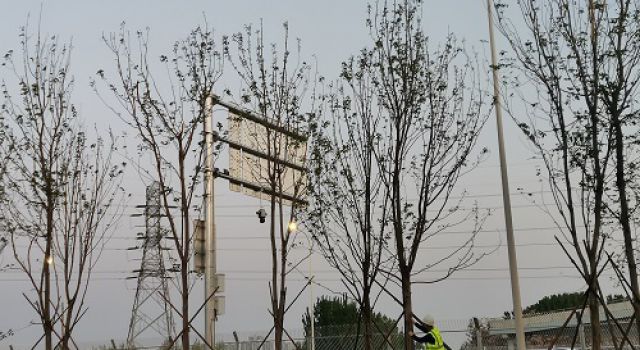 濟(jì)寧市快速路一期工程項(xiàng)目綠化施工已完成80%